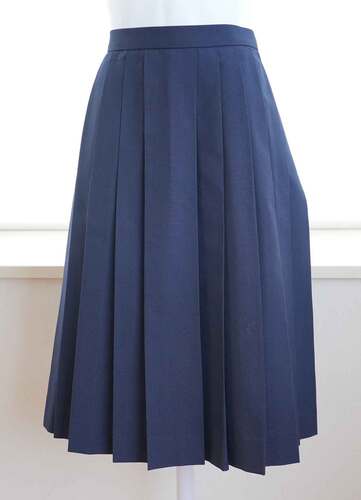  ����ʌ������R���q���Z �ĕ��X�J�[�g���q�������Ɛ��̕ۊǕi