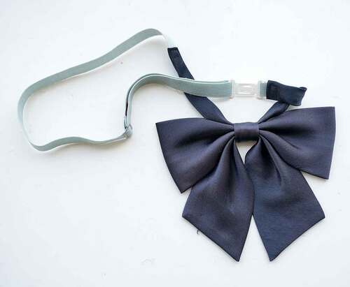  ����ʌ������R���q���Z �w�胊�{�����q�������Ɛ��̕ۊǕi