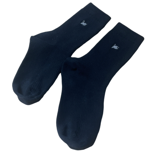 �����s ���a���w�������w�Z�@�����i�w�Z�@�V���[�g�\�b�N�X