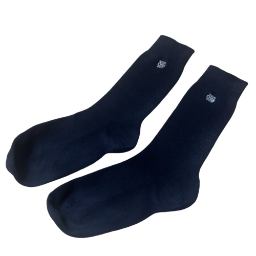 �����s �]�ː쏗�q�����w�Z�@���s�@�~�h����\�b�N�X