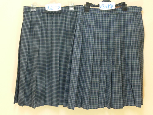 [�s��] ��113�����u���[�O���[�`�F�b�N���@�F�D�F�i�q���@�v���[�c�X�J�[�g�@�āE�~