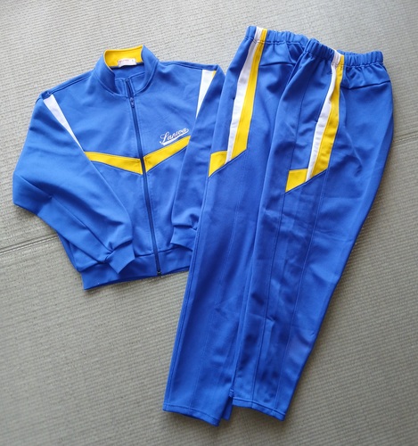  �_�ސ쌧�@���Ɍ��@�F�{���@���̑��s���̑����W���[�W�l���� 