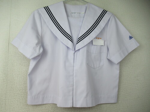 �{�茧 0506�@260�@�傫�ȃT�C�Y�I��{���w �ăZ�[���[�㒅 �O�z�b�N
