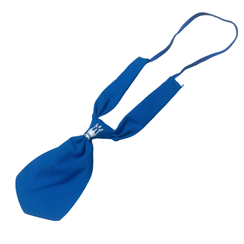 �����s �쑺���w�Z�@�������q�@�ėp�@���`�^�C