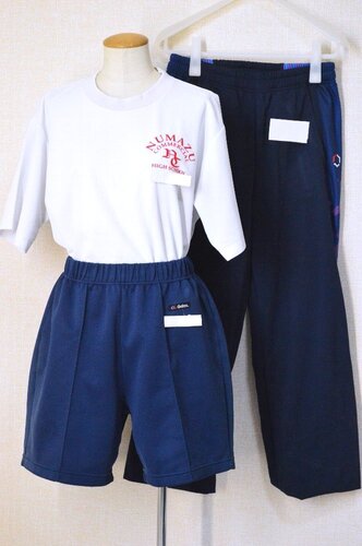  ���É����� ���Ï��ƍ����w�Z �W���[�W�� �̑�����T6279