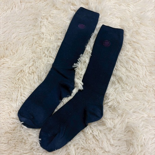 ������ ������ �����L��������C�w�Z �w��\�b�N�X �C�� �Z�͎h�J �� �l�C�r�[ ������ ��