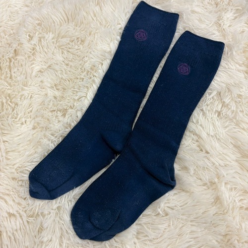 ������ ������ �����L��������C�w�Z �w��\�b�N�X �C�� �Z�͎h�J �� �l�C�r�[ ������ ��