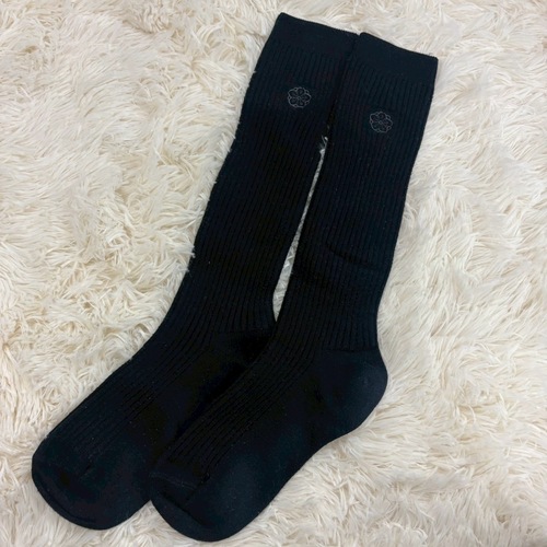 �����s ����w�����q�����w�Z �i���ĉp�����w�Z �~�p�w��C�� �� �n�C�\�b�N�X �h�J���S ��