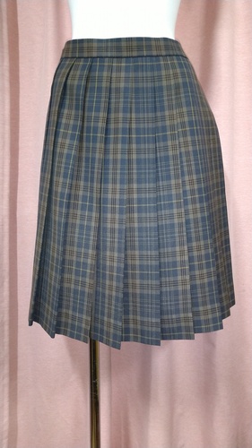 [�s��] No.145  �傫��size �`�F�b�N�X�J�[�g �s���~����