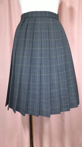 [�s��] No.144  �`�F�b�N�~�j�X�J�[�g �s���~����