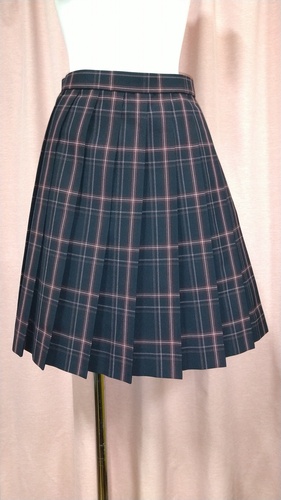 �����s No.146  �����6���w�Z ���i �傫��size �`�F�b�N�~�j�X�J�[�g �ĕ��� 