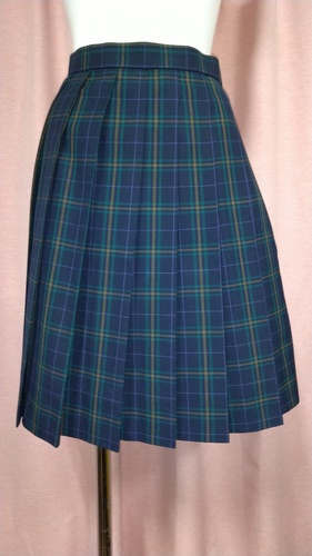 �����s No.148  �����2���w�Z �`�F�b�N�~�j�X�J�[�g �ĕ���