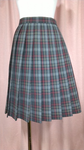 �����s No.147  �����5���w�Z �傫��size �`�F�b�N�X�J�[�g �ĕ���