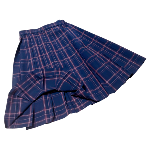 �����s ����s�������Z���w�Z�@�ăX�J�[�g