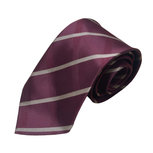 �򕌌� �ϔ������w�Z�@�����L���X�g�n�@�l�N�^�C