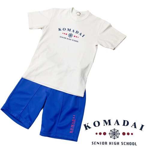 �����s ���V��w�����w�Z�@�����~�b�V�����X�N�[���@�@�̑����@T�V���c�@�Z�p��