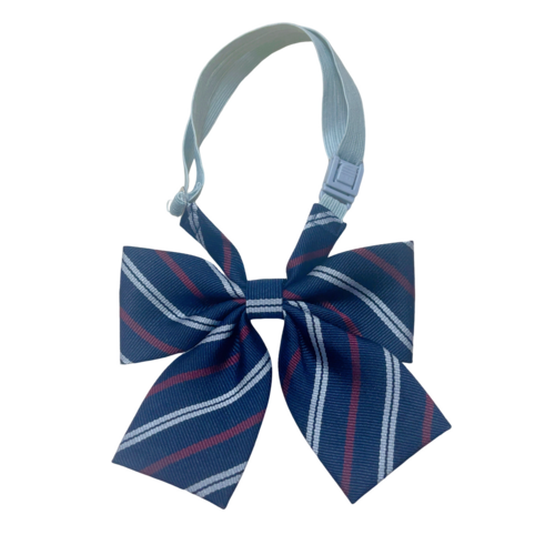 �����s ���V��w�����w�Z�@�i�w�Z�@�΍��l61 �����~�b�V�����X�N�[���@���{���^�C