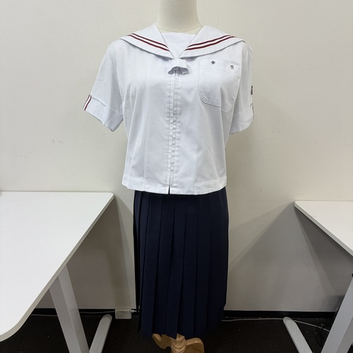 �R���� ��A���v�X�s�������䒺�g���w�Z �ăZ�[���[���㉺�Z�b�g [042503] 