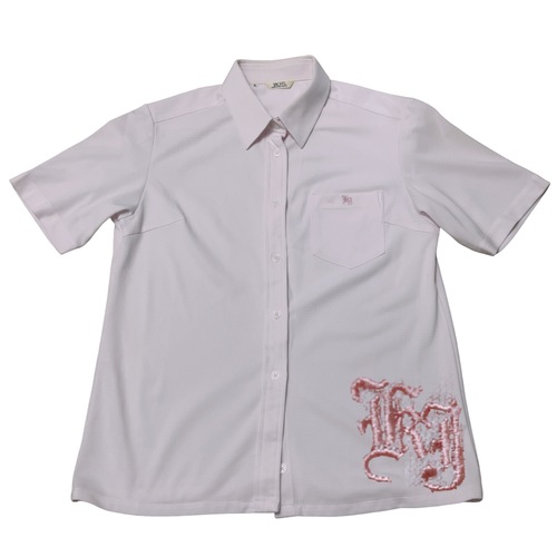 �����s �_�c���w�����w�Z�@�����u���E�X�@�x�r�[�s���N