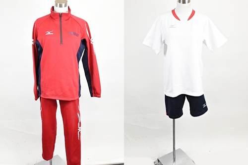 ������ �����������q���w �y���s �W���[�W�@�̑����Z�b�g�zMIZUNO �~�Y�m /3842SE