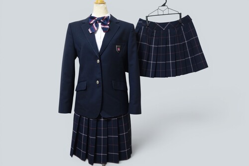 ���{ 588���A�i���w�����Z�i���́E�������j���u���U�[���`�F�b�N�X�J�[�g2���i�ē~�j�w�胊�{����L�EW63