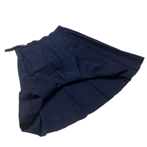 �����s �����s�����a���w�Z�@�ăX�J�[�g