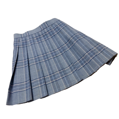 �����s �����s���ėz�����w�Z�@�����i�w�Z�@�΍��l54 �Z�߉ăX�J�[�g