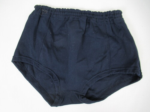 [�s��] 0774�@100�@�u���} �Ԃ�� �o���[�{�[���E�F�A Schooltaiger �l �i�C����100��