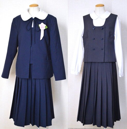  ���܃J�o�[�t�{�����~�ĕ� �R���{���t ���v���[�c�X�J�[�g Fine Label��T6295 �s��