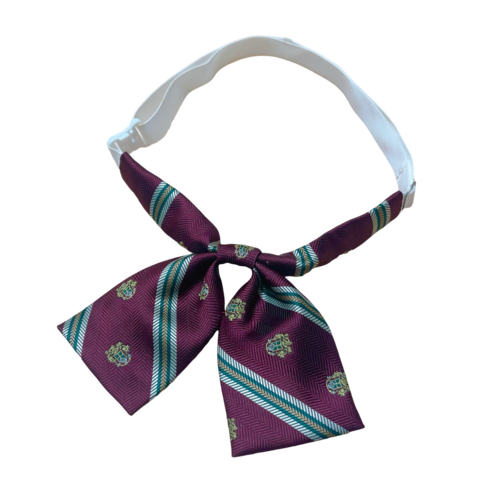 ���m�� ���C�w�������w�Z�@�����@�o�t���{���^�C