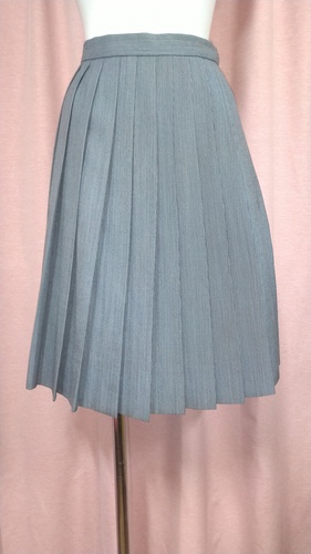 [�s��] No.154  �X�J�[�g �s���ĕ���