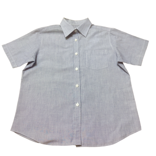 ������ �鋞���ύ����w�Z�@�����@�����u���E�X�@2013�N�Ɉ��ނ����u���E�X