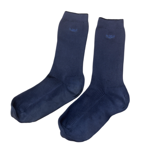 ���Q�� ���J�^���i�w�������w�Z�@�~�h����\�b�N�X