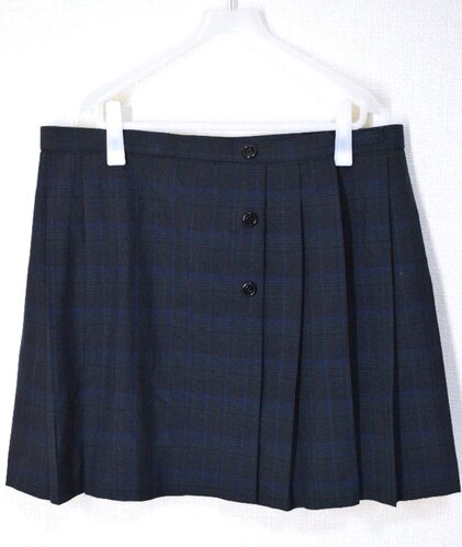 ������size W102 �m�ʐM���n���ʍ��ۍ����w�Z �ăX�J�[�g��T6315
