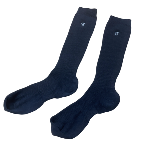 �����s �听�����w�Z�@�i�w�Z�@�n�C�\�b�N�X�@