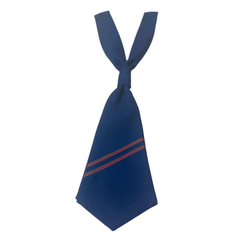 ��t�� ���ˎs���͌��˒��w�Z�@���`�^�C