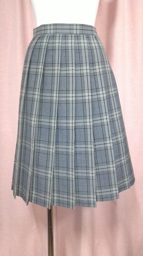[�s��] No.157  �傫��size �`�F�b�N�X�J�[�g �s���ĕ���