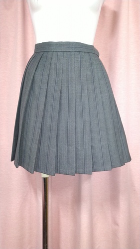 [�s��] No.160  �}�C�N���~�j�X�J�[�g �s���ĕ���