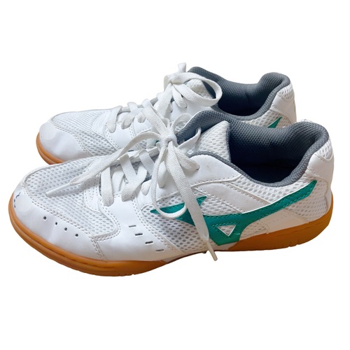 �����s ���a���q��w�������a���w�Z�@�̈�V���[�Y�@24.5