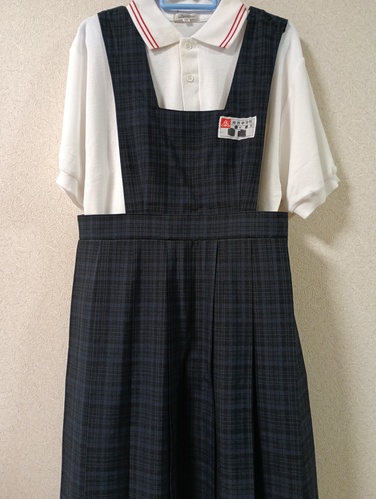 ������ �����s�� �Õl���w�Z ���E�ĕ��@�傫���T�C�Y [003136-2]