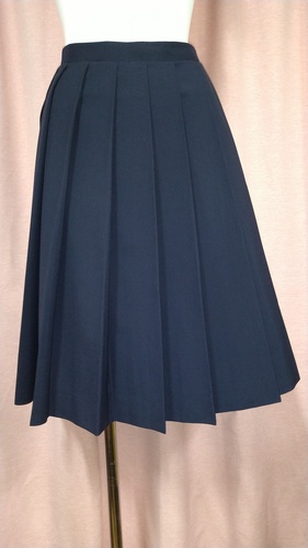 [�s��] No.185  �傫��size  16�q�_ �X�J�[�g �s���ĕ���