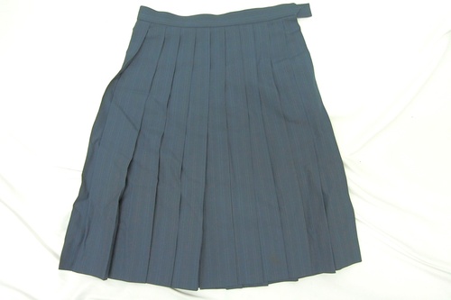  8075k �s�� �֓����� ���w ���Z �ĕ� �v���[�c�X�J�[�g �T�C�YW63 ���q����