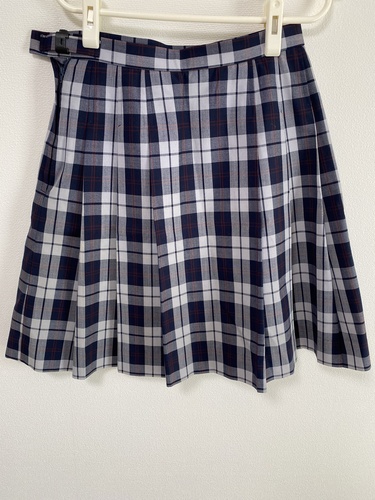 �����s �����s ��Êw�������w�Z �ăX�J�[�g ���n�t�� �q���R �R�V�m�@���