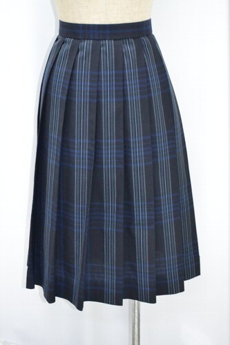  �Z��size W78 ��ʌ� ����s�������w�Z �ăX�J�[�g ����5220