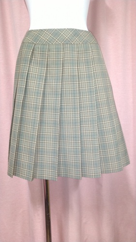 [�s��] No.199  �傫��size �}�[�N���� �n�C�E�G�X�g�`�F�b�N�~�j�X�J�[�g �s���ĕ���