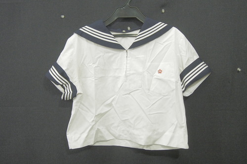 8138k �_�ސ쌧 ���� �_�ސ�w�����Z �y���q�Z�z �ĕ� ���� �w��Z�[���[�� ��� �T�C�YL