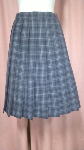 [�s��] No.190  �傫��size �`�F�b�N�X�J�[�g �s���ĕ���