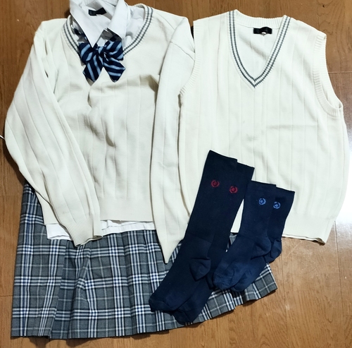 �_�ސ쌧 ���l���ȑ�w���Z �Z�[�^�[ �X�J�[�g ���{�� �x�X�g �C��