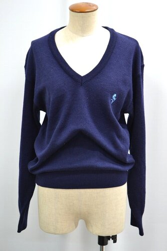  ���_�ސ쌧 ���͏��q��w�����w�Z ���F V�l�b�N�Z�[�^�[ ��SA6071