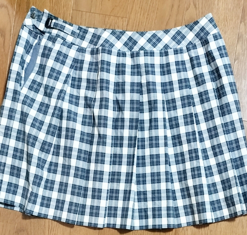 �����s ����L�R���q ���Z �ăX�J�[�g W90